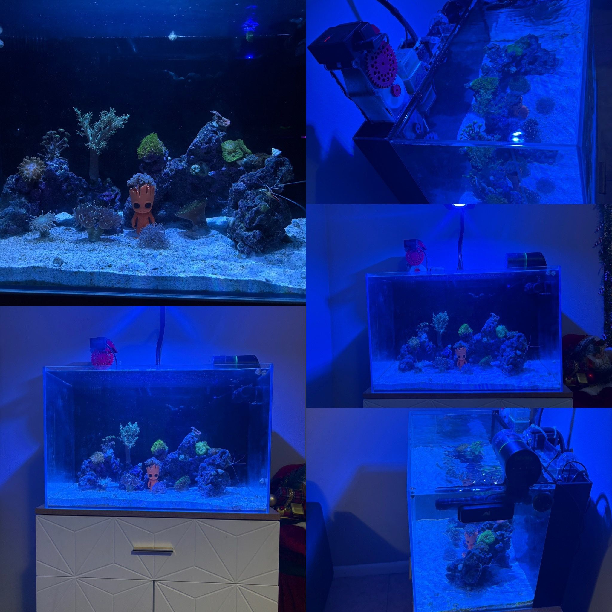 Pecera Agua Salada 30gl