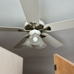 Ceiling Fan
