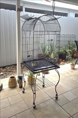 BIRD CAGE.......JAULA PARA PAJAROS
