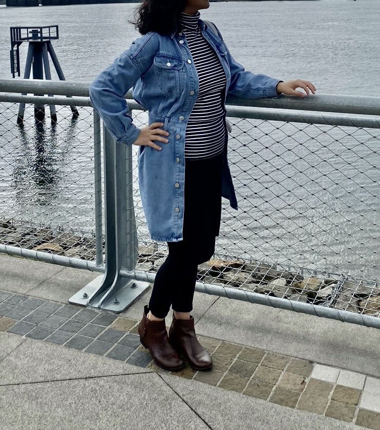Lee Denim Dress