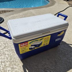 Igloo 48 qt Camping Cooler