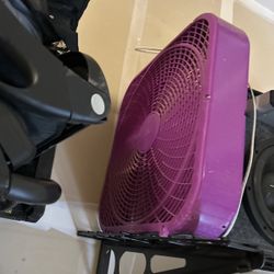 Fan