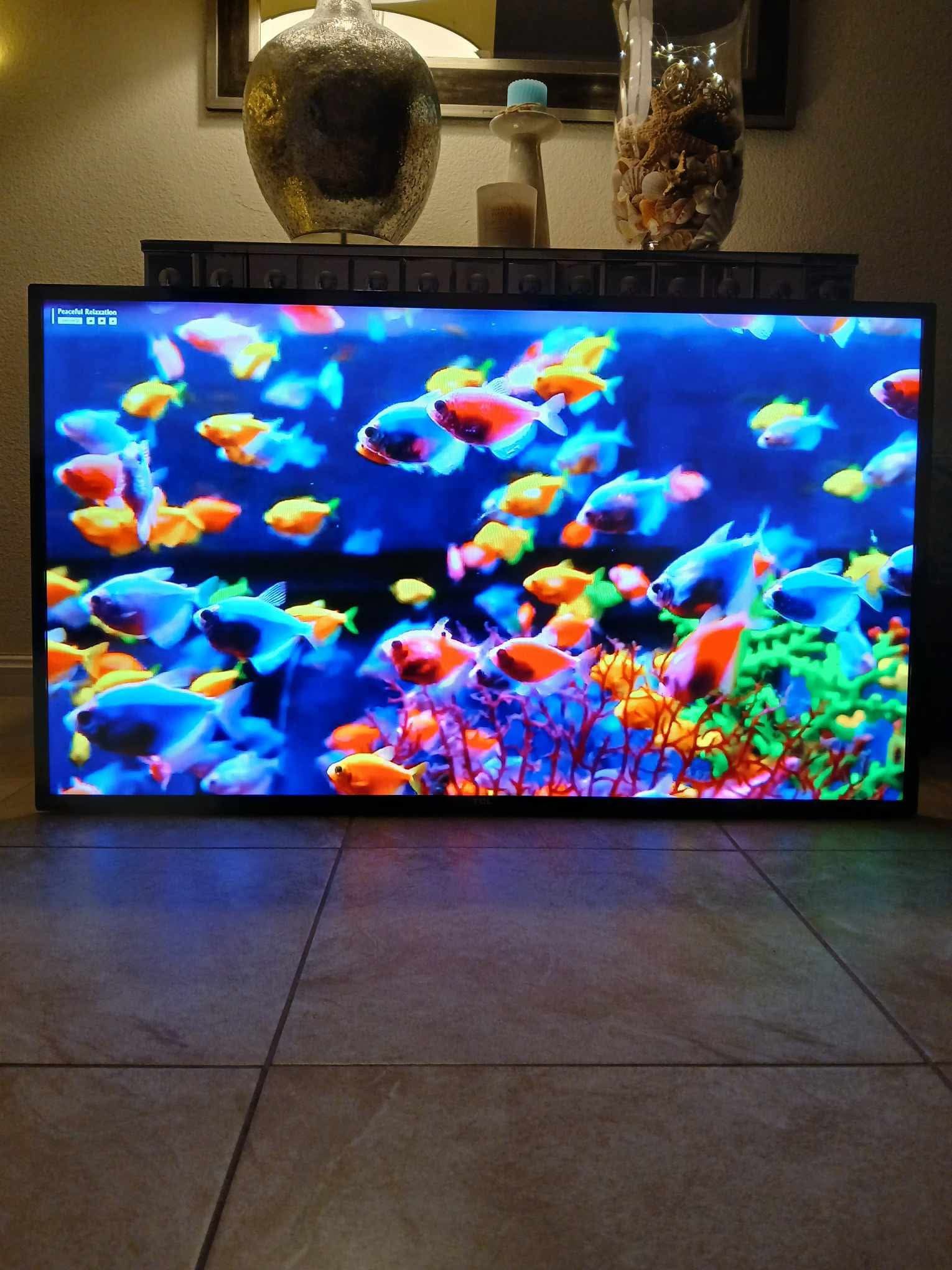 48" TCL Roku Smart TV