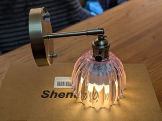 2 pack. Industrial Wall Sconce with Glass Shade