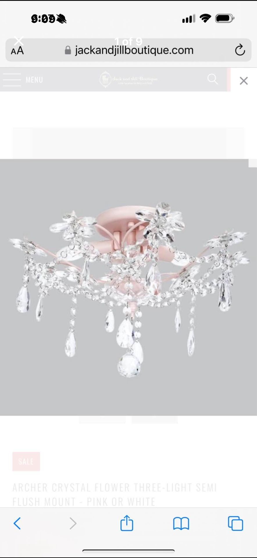 Jack & Jill Boutique Chandelier