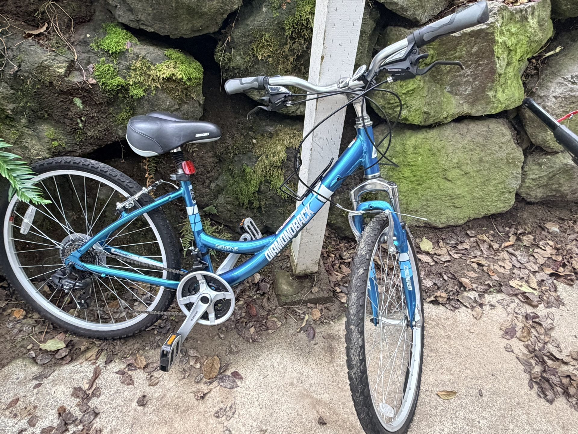 Diamond Back Junior/lady Bike