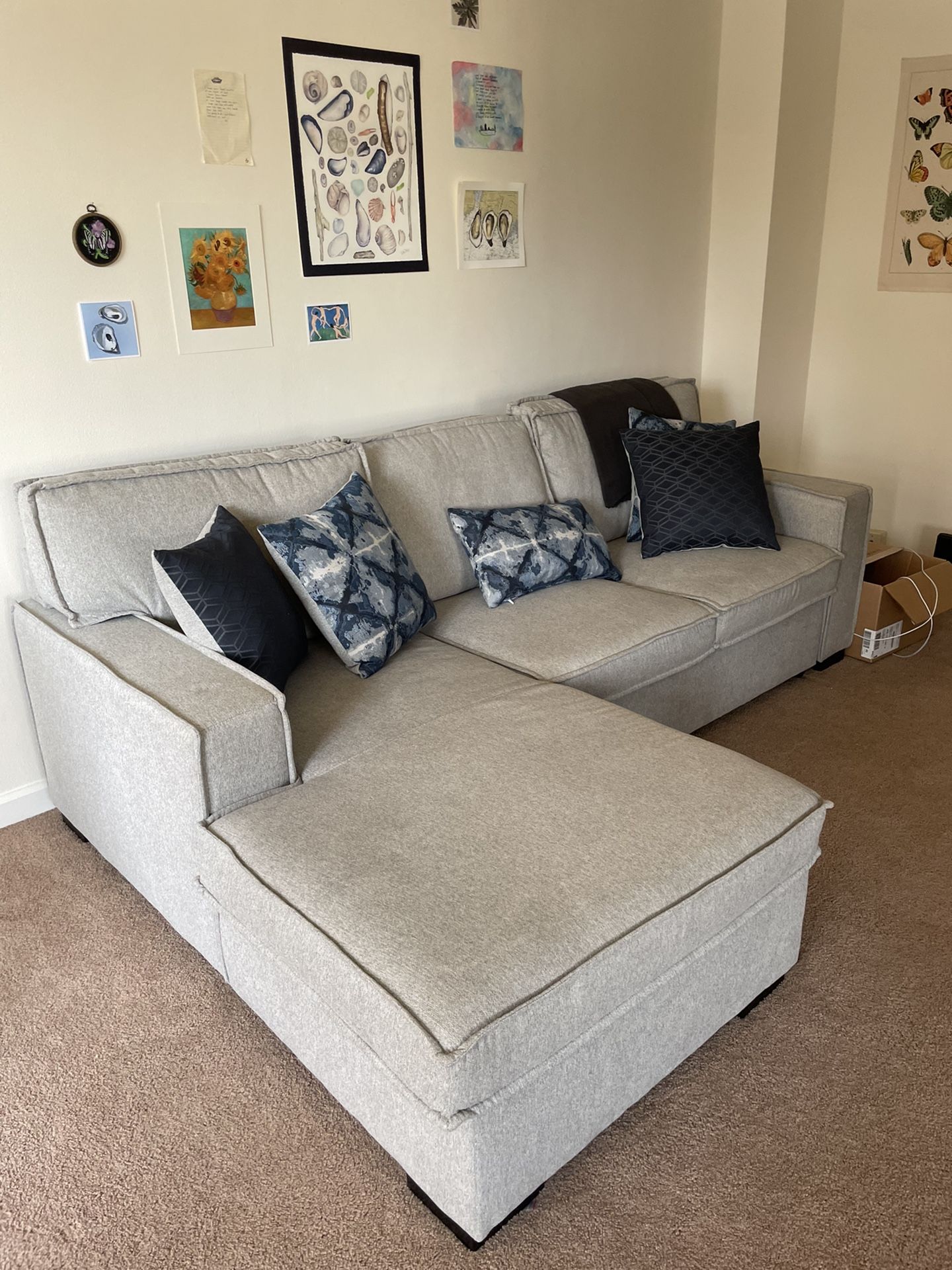 Brand New Pull Out Couch