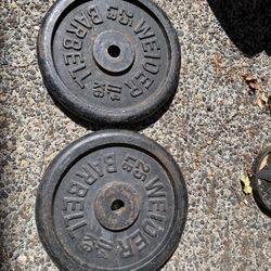 Two 25 Lbs Standard Weight Plates 