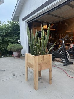CUSTOM PLANTERS *ASK* Jardineras Personalizadas 