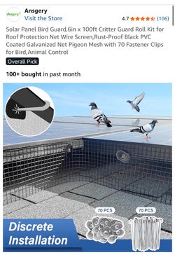 Solar pigeon guard