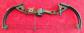 Bear Archery Compound Bow - Youth