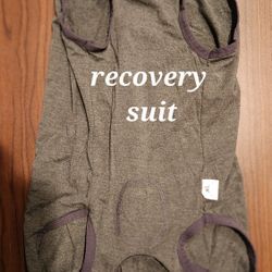 Pet Post Surgery Suit