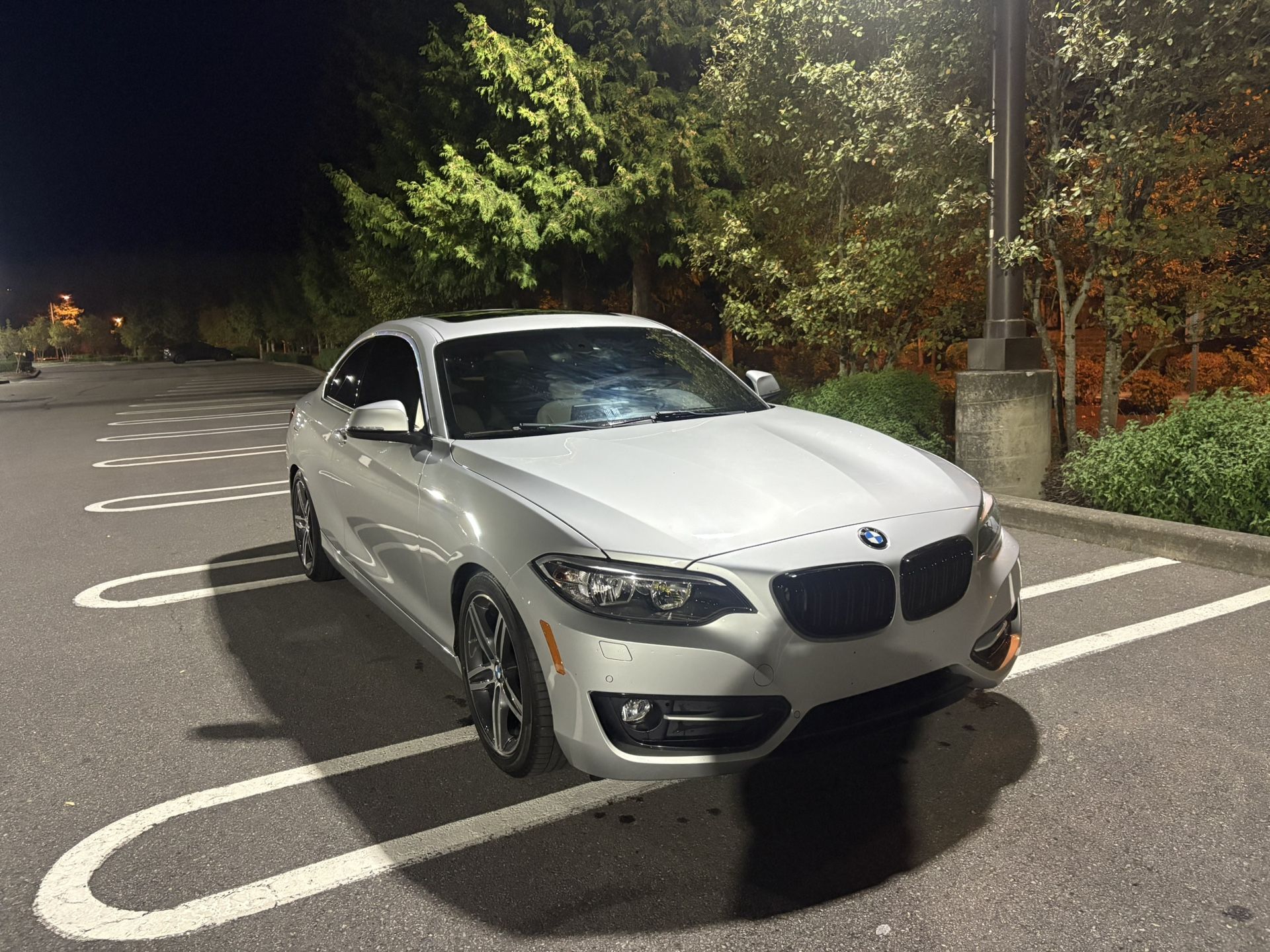 2017 BMW 230i