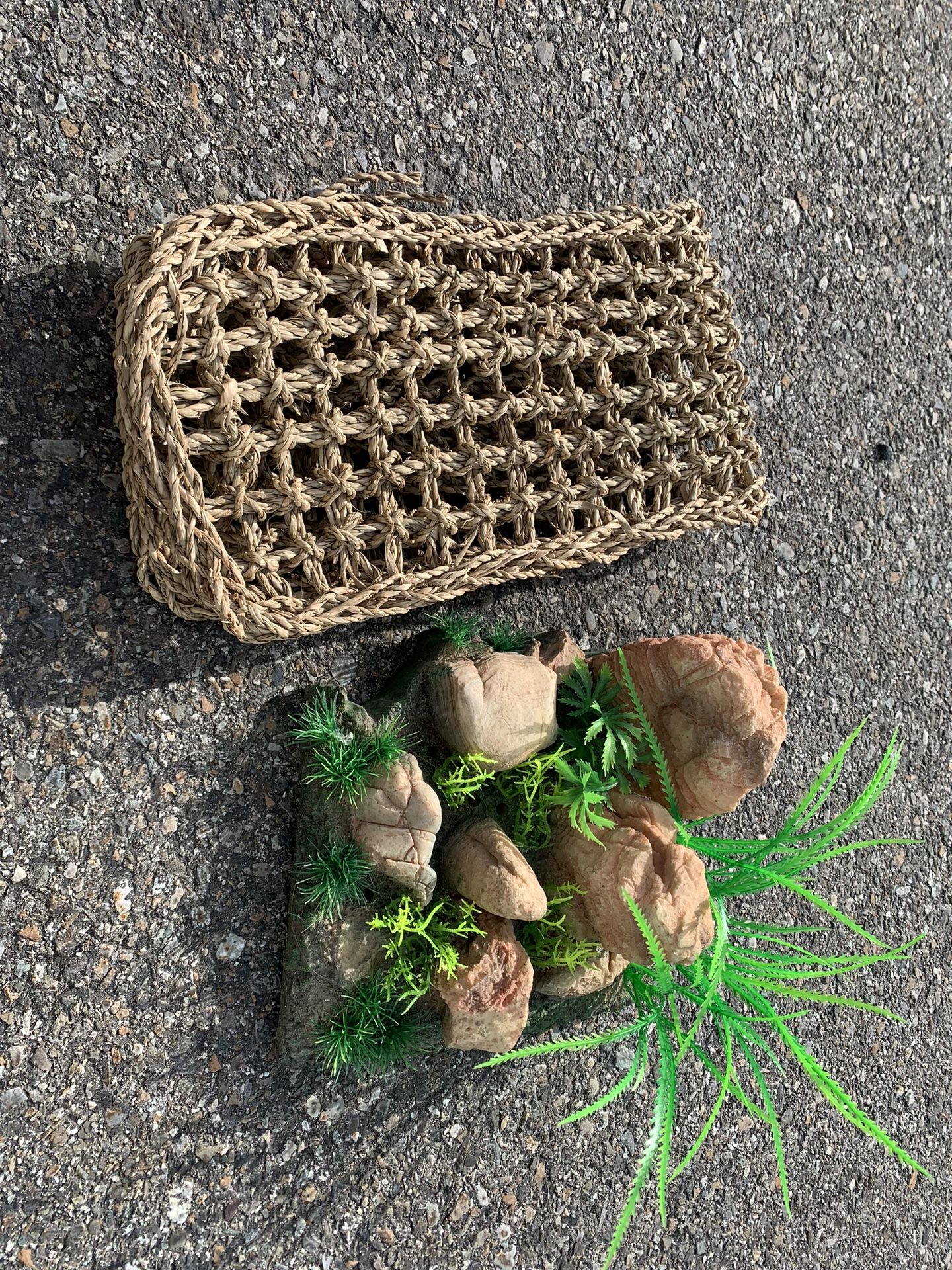 Reptile Supplies