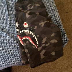 New BAPE Shark Shorts And Bape Champion Tee