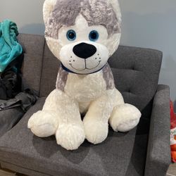 Toy