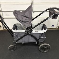 Baby Trend Expedition 2-in-1 Stroller Wagon