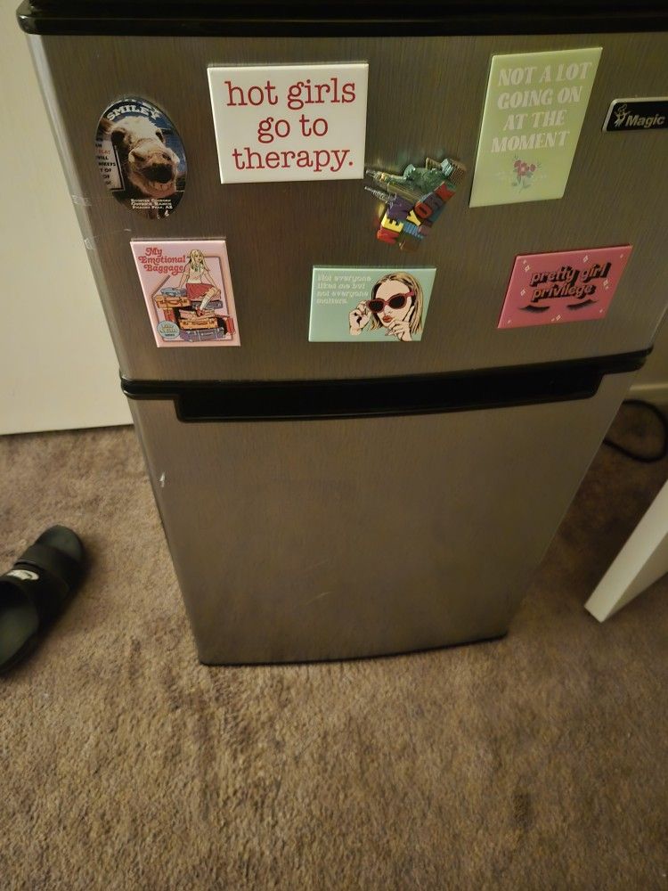 Mini Fridge 