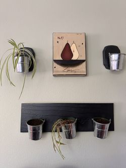Wall-hanging Plant Holders