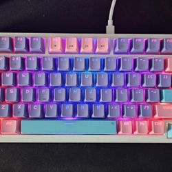 75% Modded Gaming Keyboard 