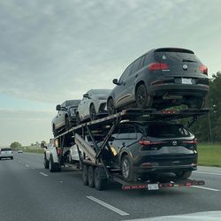 5 Car hauler / Sale / Rent