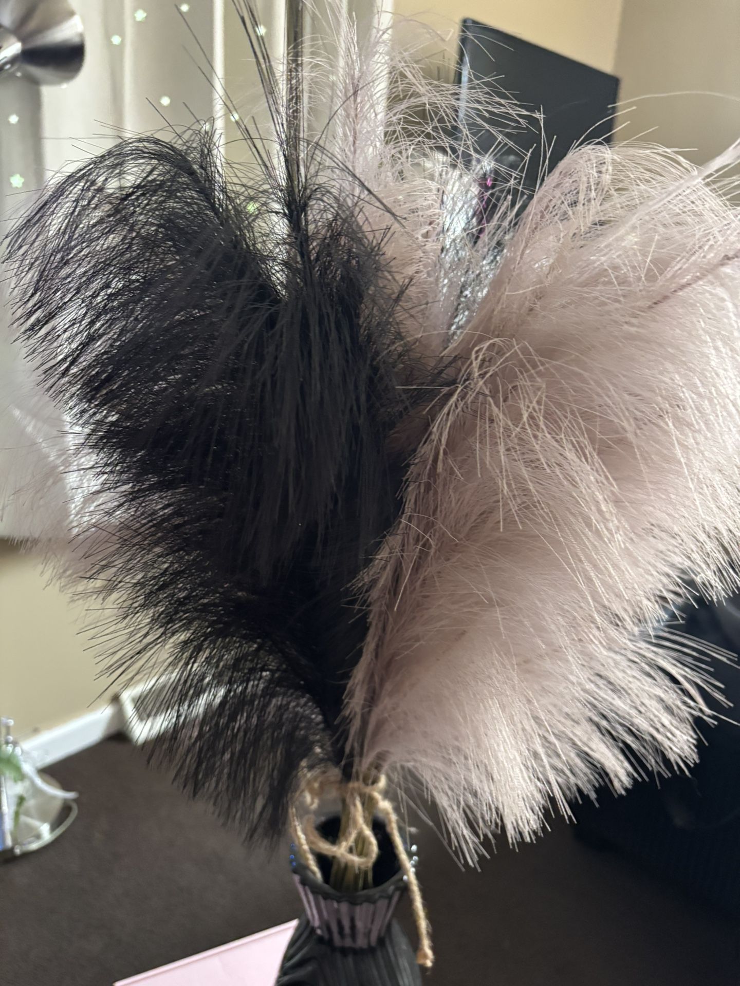 Black Base With Feathers