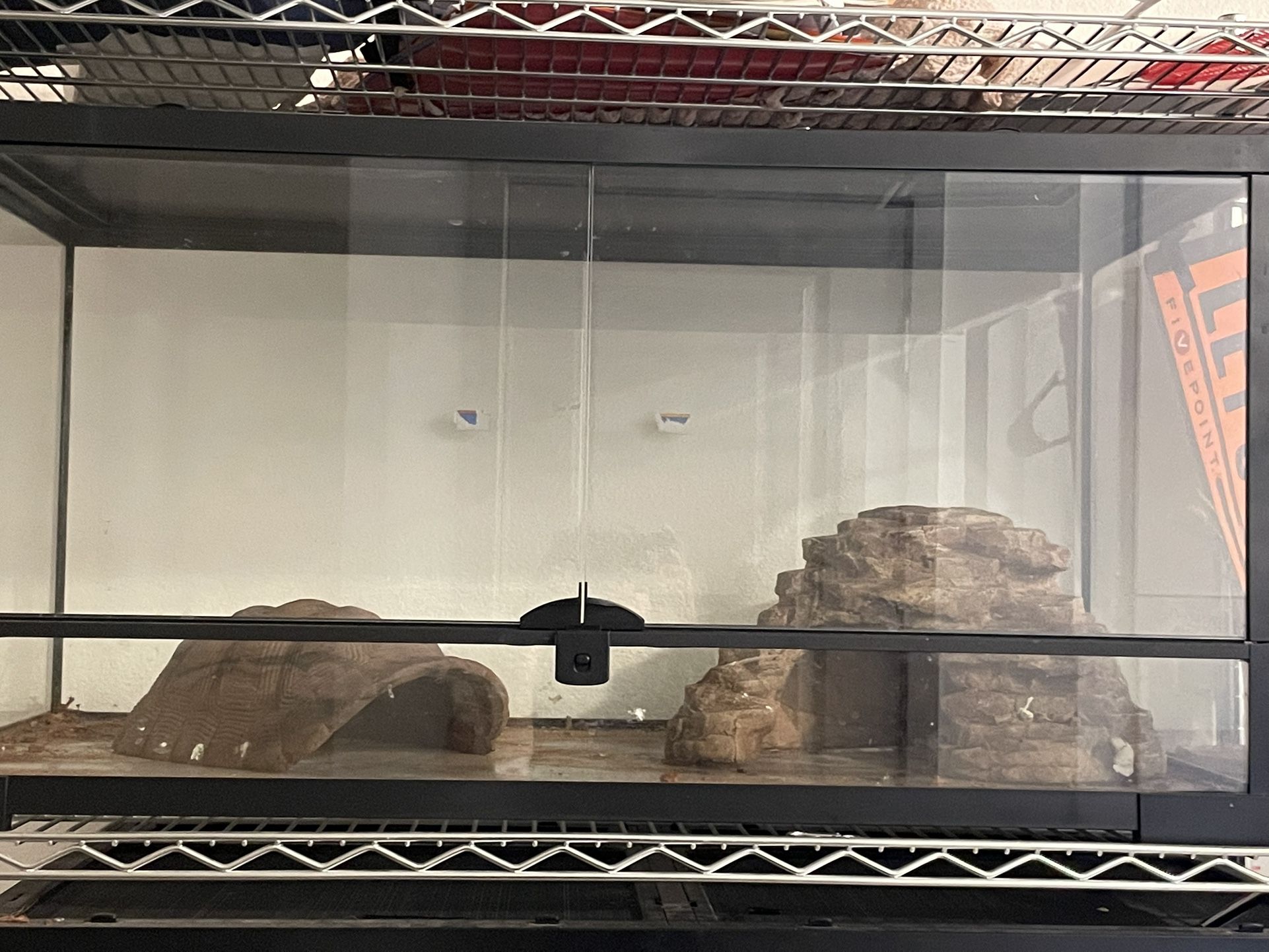 Reptile Enclosure