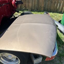 1998 S10 Hood