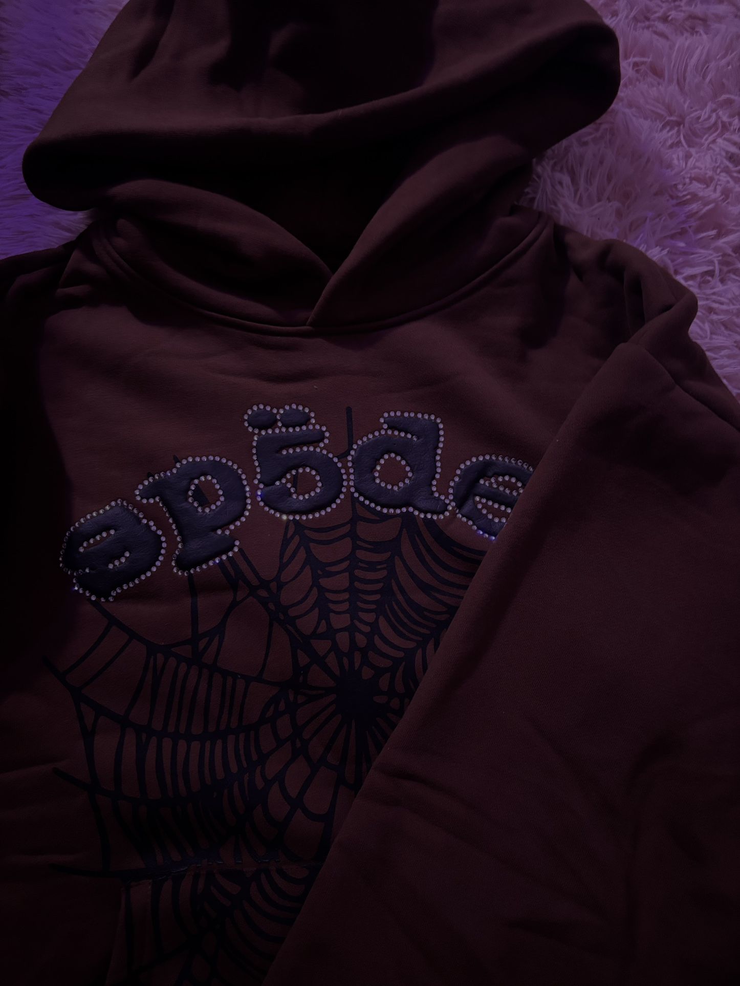 spider
