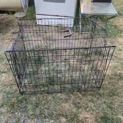 Dog Case 