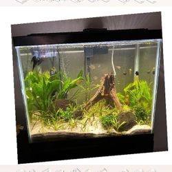 end woman Ready-Made Aquarium Kit - Explore Underwater Beauty