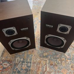 Yamaha NS30t 