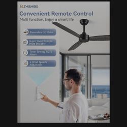 Ceiling Fan 52inch