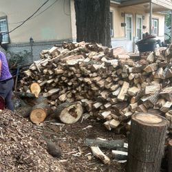 Firewood 