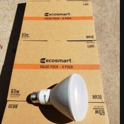 NEW ECOSMART 65W LED FLOOD LIGHT
