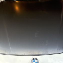 2015 BMW 335i Hood