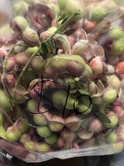 Guamuchiles Fresco Recién Cortados
