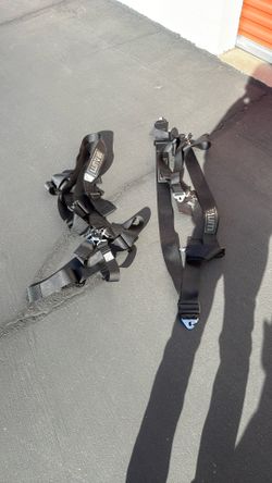 Braum 5 Point Seatbelt Harness