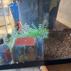 Fish Tank For Free