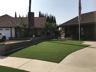 Grass