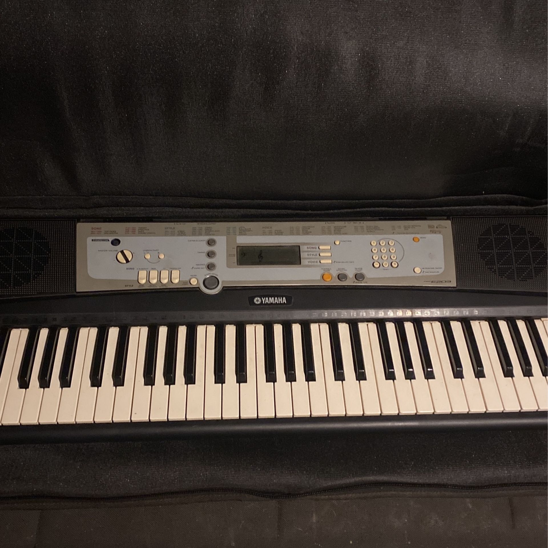 Piano With Stand