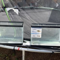 Fish Tanks 