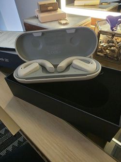 Earphones