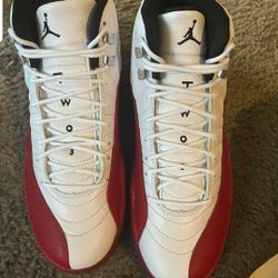 Air Jordan Retro 12 Size 8