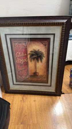 Two palm collection pictures