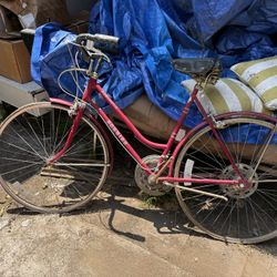 Schwinn Bicycle