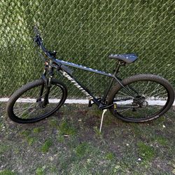 29” Specialized Bike(bought for 800) 