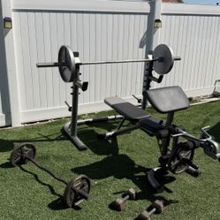 Olympic Weights  Gym Set 