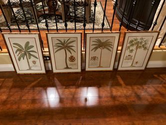 Set Of 4 Framed Georg Dionysius Ehret Illustrations Framed Art Frederick Palm
