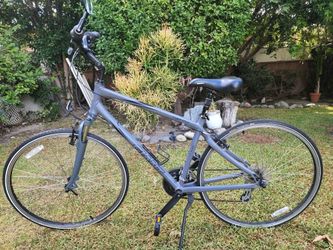 Giant Cypress Bike Grey Color